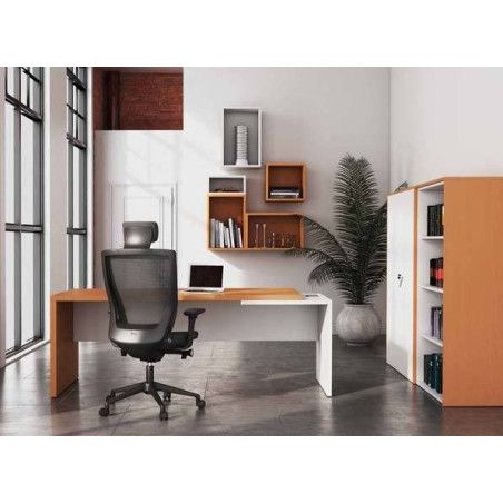 Conjunto de escritorio con armario